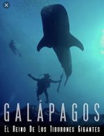 Watch Galapagos: Realm of Giant Sharks Megashare9