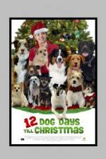 Watch 12 Dog Days of Christmas Megashare9