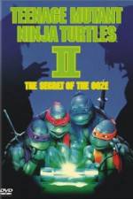 Watch Teenage Mutant Ninja Turtles II: The Secret of the Ooze Megashare9