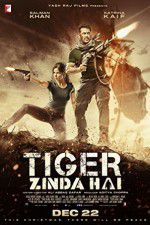 Watch Tiger Zinda Hai Megashare9