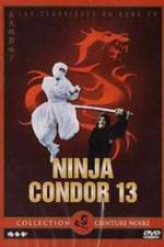 Watch Ninjas Condors 13 Megashare9