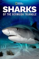 Watch Sharks of the Bermuda Triangle (TV Special 2020) Megashare9