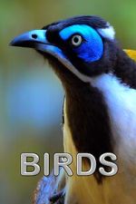 Watch Birds (Short 2021) Megashare9