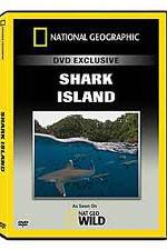 Watch National Geographic: Shark Island Megashare9