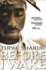 Watch Tupac Shakur Before I Wake Megashare9