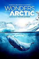 Watch Wonders of the Arctic 3D Megashare9