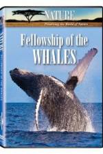 Watch Fellowship Of The Whales Megashare9