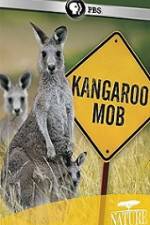 Watch Kangaroo Mob Megashare9