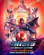 Watch Crisis on Infinite Earths Megashare9