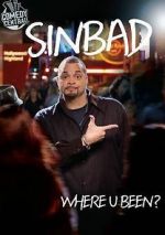 Watch Sinbad: Where U Been? Megashare9