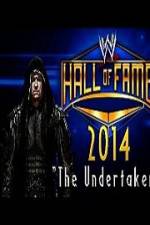 Watch WWE Hall Of Fame 2014 Megashare9