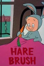 Watch Hare Brush (Short 1955) Megashare9