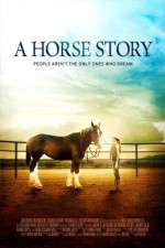 Watch A Horse Story Megashare9