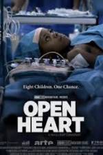 Watch Open Heart Megashare9