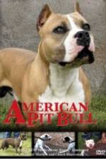 Watch American Pit Bull Megashare9