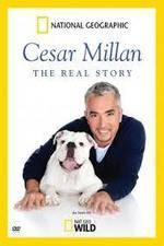 Watch Cesar Millan: The Real Story Megashare9