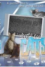 Watch Shorts for Cats Megashare9