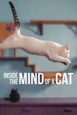 Watch Inside the Mind of a Cat M4ufree