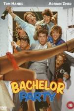 Watch Bachelor Party Megashare9