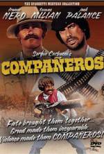 Watch Companeros Megashare9