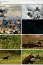 Watch National Geographic: Japans Hidden Secrets Megashare9