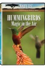 Watch Hummingbirds Magic in the Air Megashare9