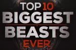 Watch Top 10 Biggest Beasts Ever Megashare9