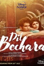 Watch Dil Bechara Megashare9