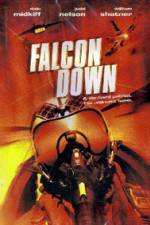 Watch Falcon Down Megashare9