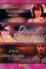 Watch Days of Being Wild Megashare9