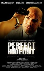 Watch Perfect Hideout Megashare9