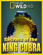 Watch Secrets of the King Cobra Megashare9