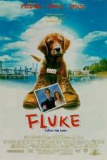 Watch Fluke Megashare9