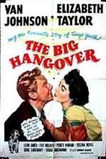 Watch The Big Hangover Megashare9