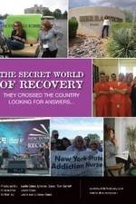 Watch The Secret World of Recovery Megashare9