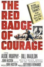 Watch The Red Badge of Courage Megashare9