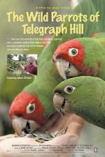 Watch The Wild Parrots of Telegraph Hill Megashare9