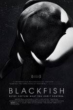 Watch Blackfish Megashare9