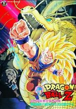 Watch Dragon Ball Z: Wrath of the Dragon Megashare9