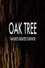 Watch Oak Tree Natures Greatest Survivor Megashare9