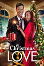 Watch A Christmas Love Megashare9