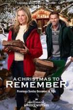 Watch A Christmas to Remember Megashare9