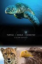 Watch Turtle, Eagle, Cheetah: A Slow Odyssey Megashare9