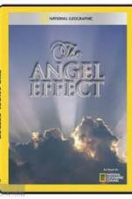 Watch National Geographic Explorer - The Angel Effect Megashare9