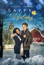 Watch Sappy Holiday Megashare9