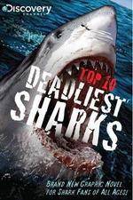 Watch National Geographic Worlds Deadliest Sharks Megashare9