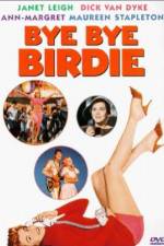 Watch Bye Bye Birdie Megashare9