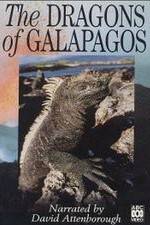 Watch The Dragons of Galapagos Megashare9