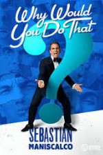 Watch Sebastian Maniscalco Why Would You Do That Megashare9