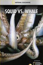 Watch National Geographic Wild - Squid Vs Whale Megashare9